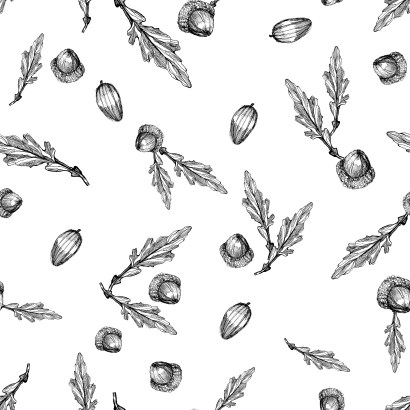 Lehdet ja pähkinät_rapo valko